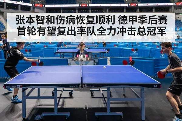 张本智和伤病恢复顺利 德甲季后赛首轮有望复出率队全力冲击总冠军
