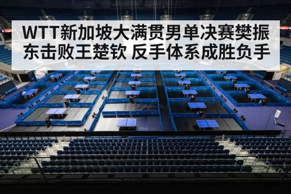 WTT新加坡大满贯男单决赛樊振东击败王楚钦 反手体系成胜负手